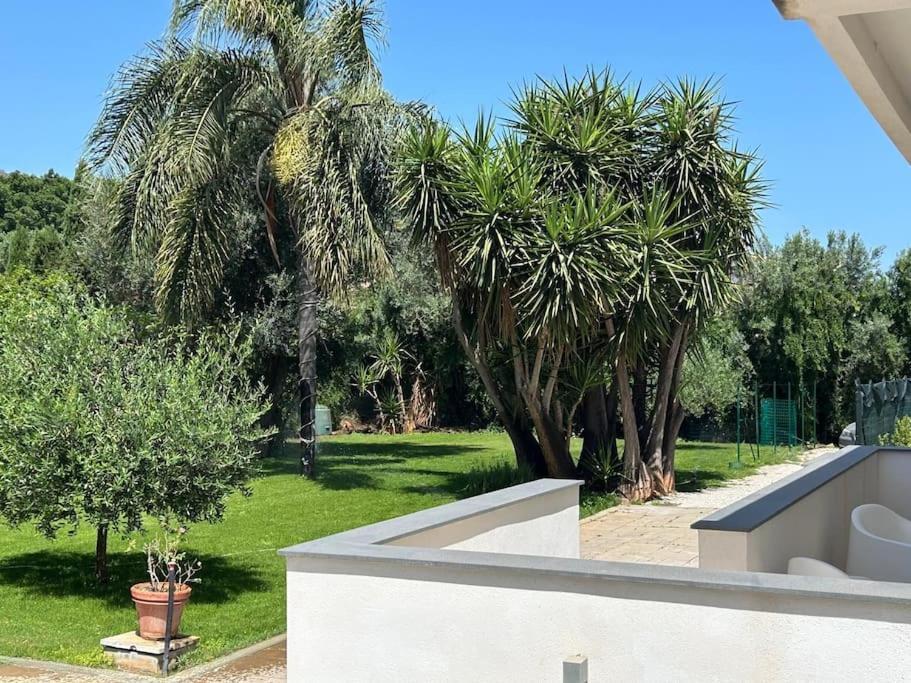 Villa Lucia - Palermo — Photos 3
